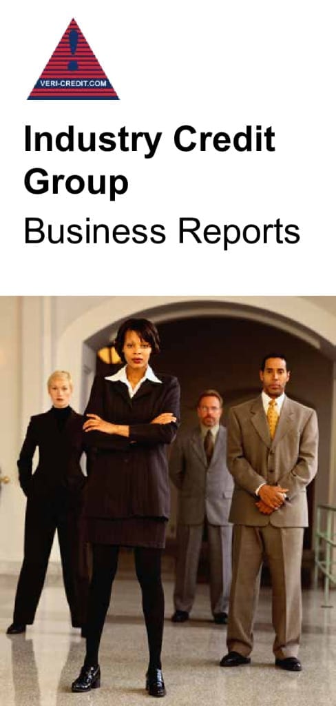 thumbnail of ICG Business Reports Flyer