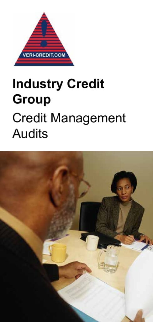 thumbnail of VC Credit Management Audits